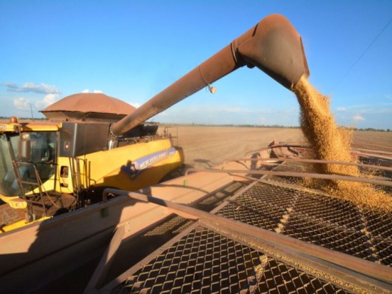 Mesmo com desafios climticos, MS projeta nova supersafra de soja