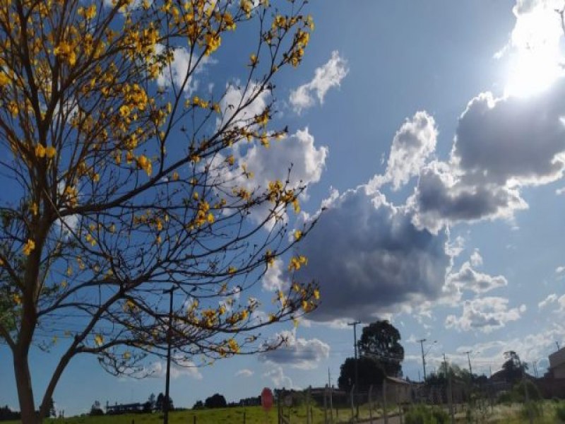 Caloro e baixa umidade do ar voltam a deixar MS com clima de deserto nos prximos dias