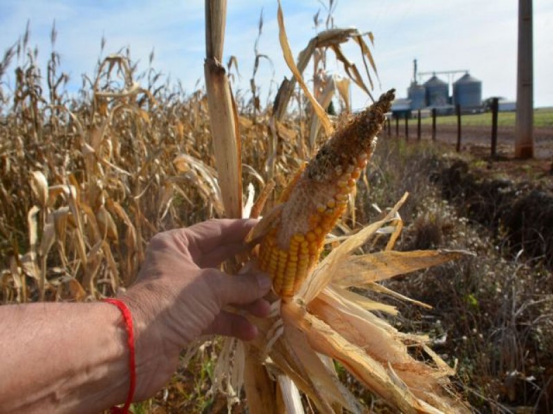 Reforma tributria deve prejudicar arrendamentos do agro no Estado