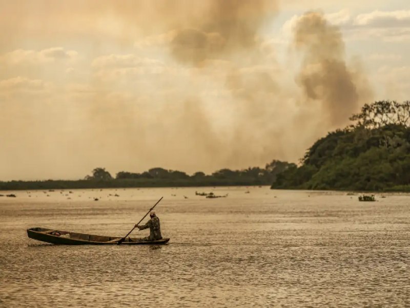 Polcia Federal investiga incndios criminosos no Pantanal; oua: