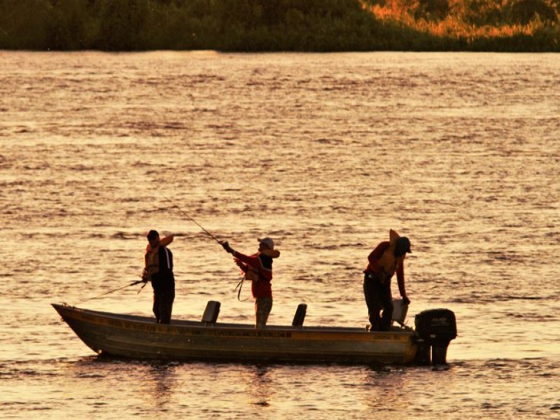 ltima semana: pesca fica proibida a partir de novembro com o incio do perodo de defeso