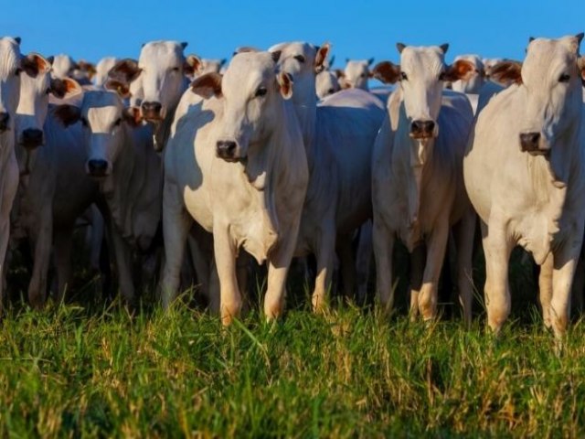 Itapetininga  apontada como 2 melhor cidade para fazer negcios na agropecuria do Brasil e a primeira do Estado de SP, diz pesquisa