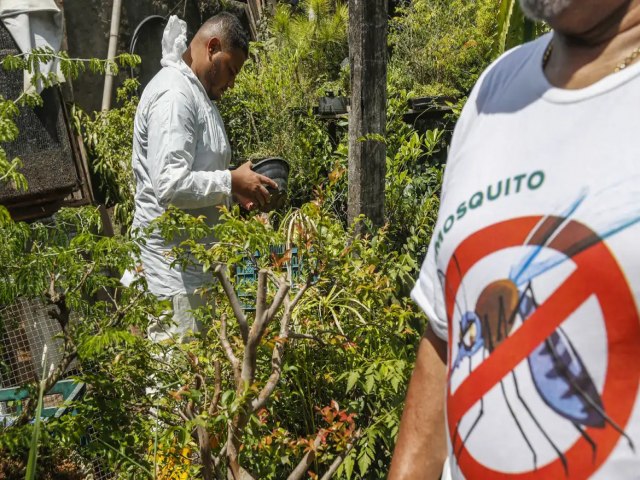 Brasil registra mais de 2 milhes de casos de dengue