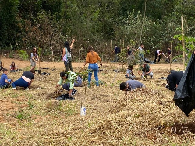 Dia da rvore  celebrado com plantio de 1 mil mudas de espcies nativas em Sorocaba