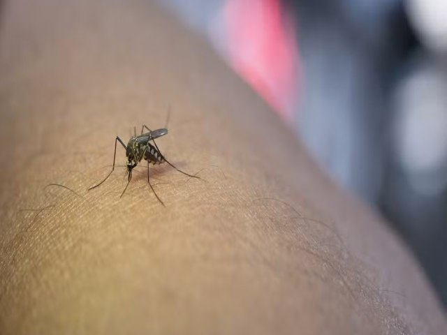 Mais 23 cidades do Cear sero beneficiados com a distribuio da vacina contra a dengue; confira a lista