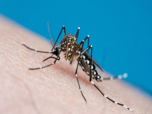 A segunda etapa da vacinao contra a dengue no Cear ter incio em julho, ampliando a imunizao para mais 23 cidades do estado