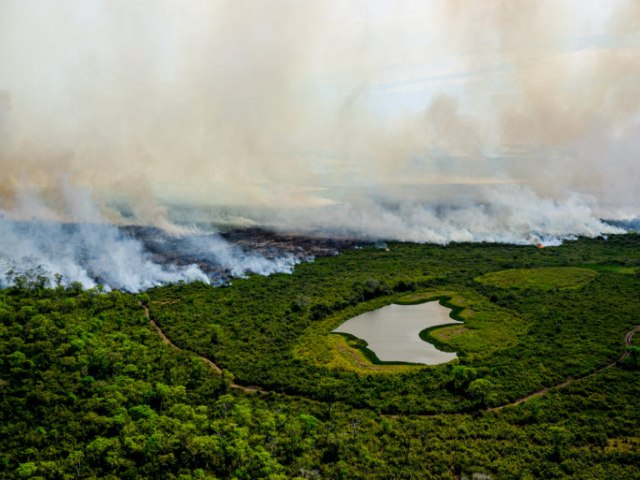 O Pantanal brasileiro registra recorde de incndios em junho, antes da temporada de seca