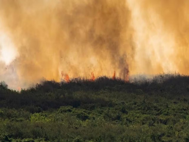 MS decreta situao de emergncia em cidades atingidas pelos incndios no Pantanal