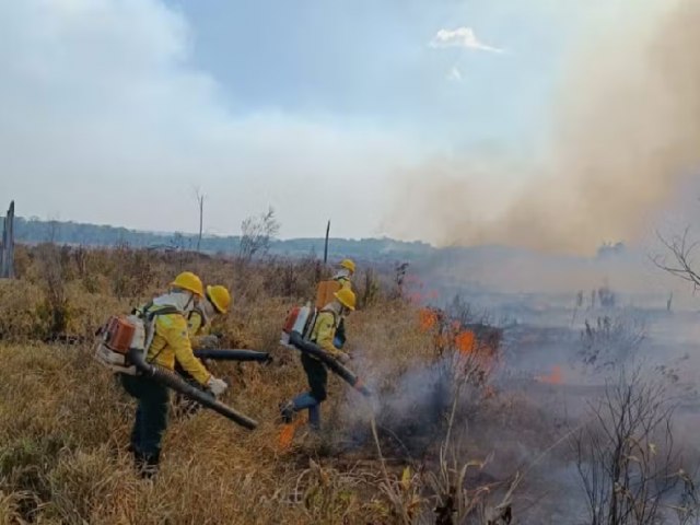 Amazonas Supera Nmero de Queimadas de Agosto do Ano Passado em Apenas 20 Dias, Revela Inpe