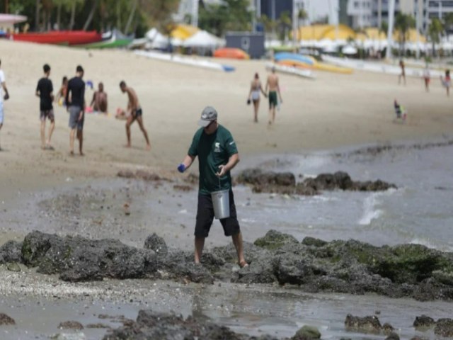 Pesquisa indita comprova a contaminao de peixes e moluscos no delta do Parnaba.