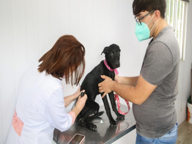 O VetMvel disponibiliza servios veterinrios gratuitos no RioMar Kennedy.