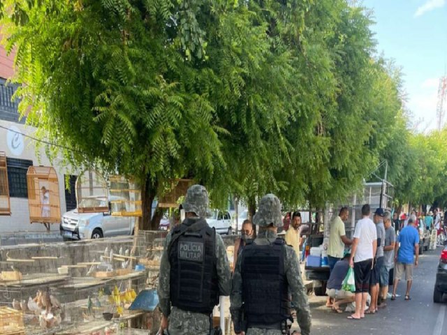 Operao de Combate ao Comrcio Ilegal Resgata 37 Aves Silvestres em Juazeiro do Norte.