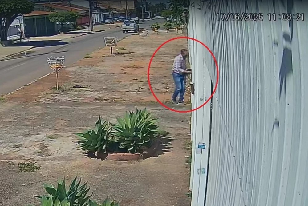 Homem joga filhote de cachorro em casa de desconhecido e é procurado. Veja vídeo Homem joga filhote de cachorro em casa de desconhecido e é procurado. Veja vídeo