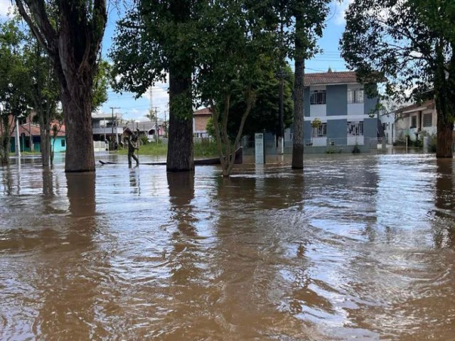 Rio Grande do Sul chega a oito mortes por leptospirose