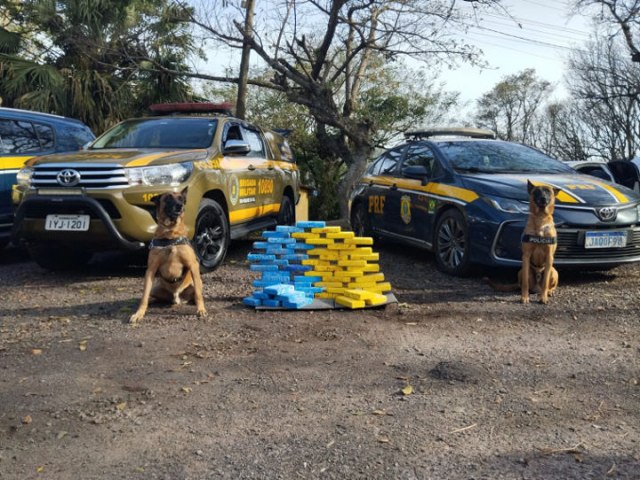 Carga milionria de cocana  apreendida pela PRF e Brigada Militar