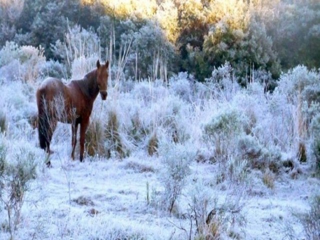 Sul do pas deve ter frio intenso e geada no fim de semana