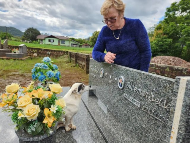 Co Branco, smbolo de lealdade que viralizou no Brasil, morre em Santa Clara do Sul