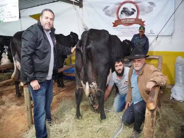 Conhea a vaca raiz, que vive sem cuidados especiais e produziu 103 kg de leite