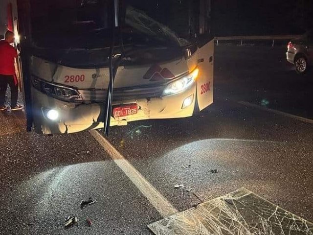 nibus do Brasil de Pelotas se envolve em acidente em So Paulo