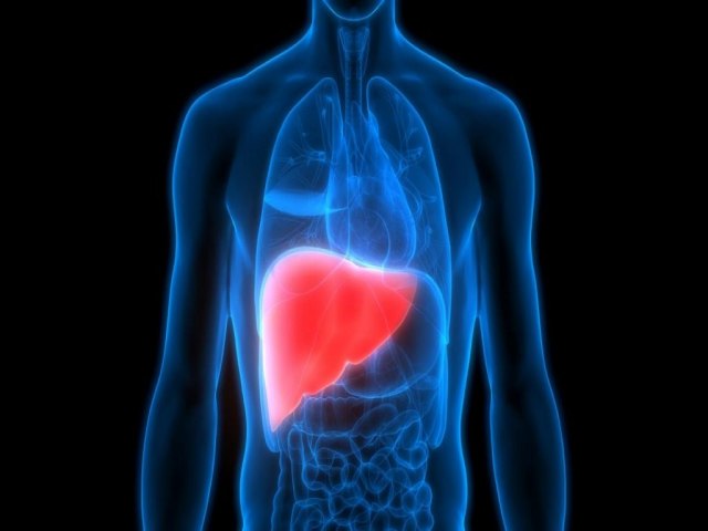 Hepatites no diagnosticadas podem levar a insuficincia heptica