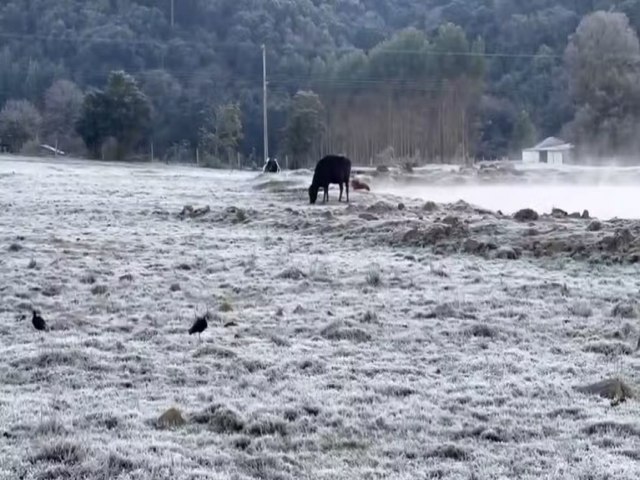 Onda de frio: com chance de neve, temperatura deve cair at 5C no RS