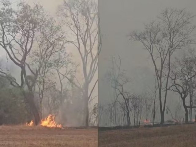 Dois homens so presos por incndios criminosos no interior de SP; um deles tinha vdeos celebrando o fogo