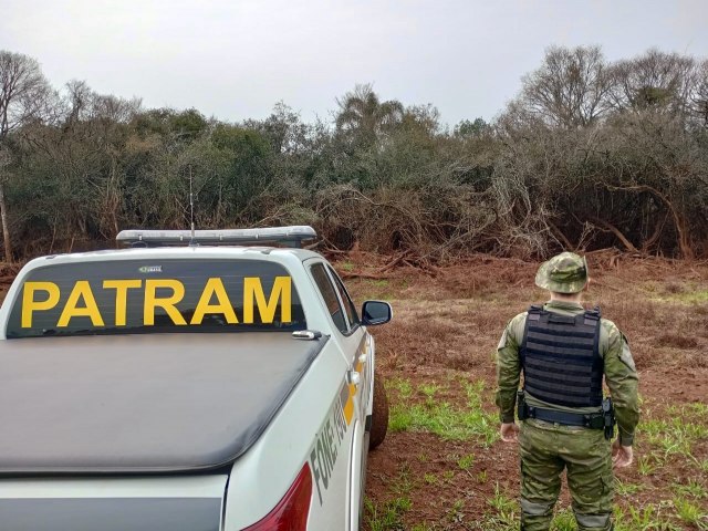 Brigada Militar flagra 40.000 metros quadrados de destruio de vegetao nativa