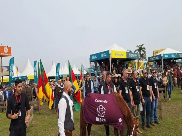 Grande campeo da enchente, cavalo Caramelo, brilha no Desfile dos Campees na Expointer 2024