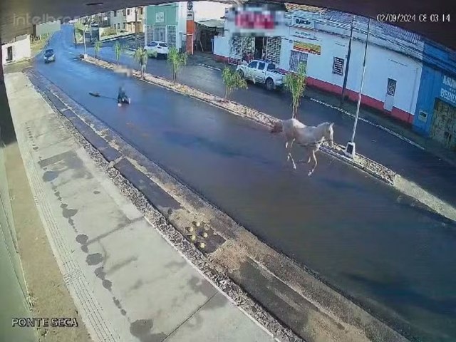 Adolescente  arrastada por cavalo em disparada em rua