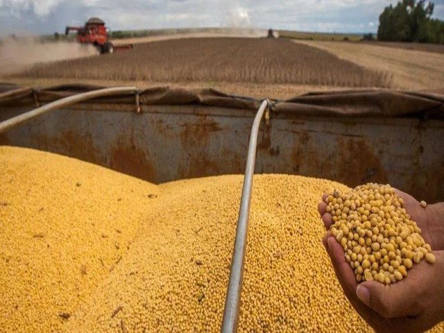 Condies climticas sul-americanas afetam mercado da soja