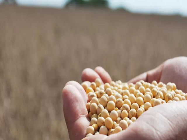 Rio Grande do Sul  o terceiro maior produtor de gros do pas, aponta Conab