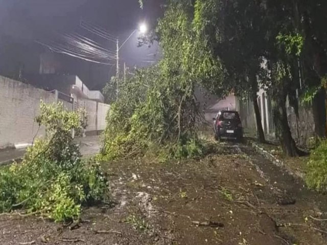 VENDAVAL ACIMA DE 100 KM/H PROVOCA ESTRAGOS NO INTERIOR GACHO  