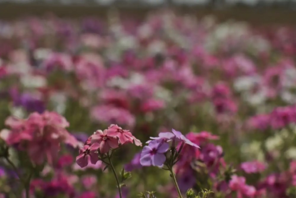 Primavera come�a em meio � chegada de frente fria, com temporais e ventos fortes.