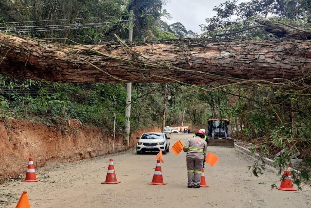 Prefeitura implanta equipes 24 horas para remo��o de �rvores.
