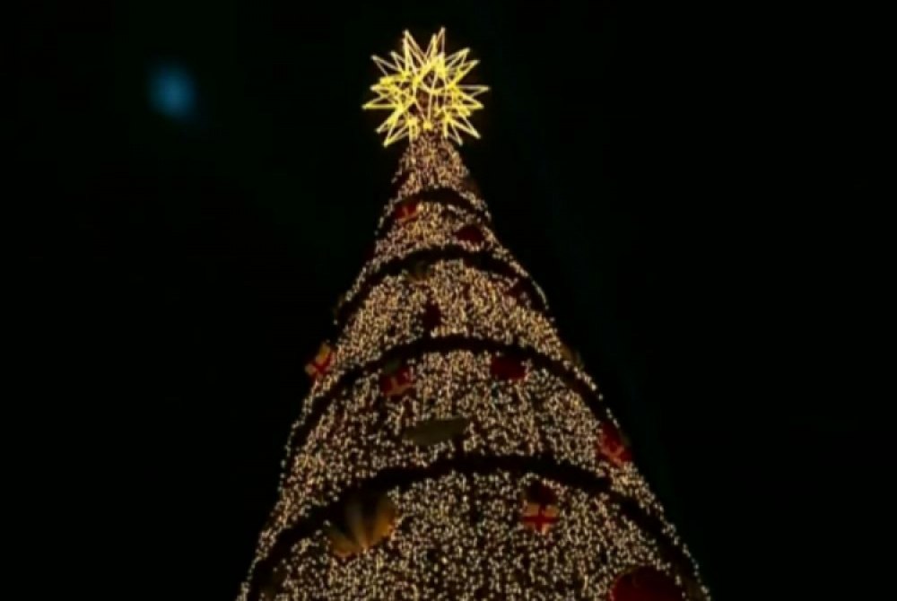 �rvore de Natal do Parque Villa-Lobos � inaugurada e deve gerar R$ 50 milh�es para SP.