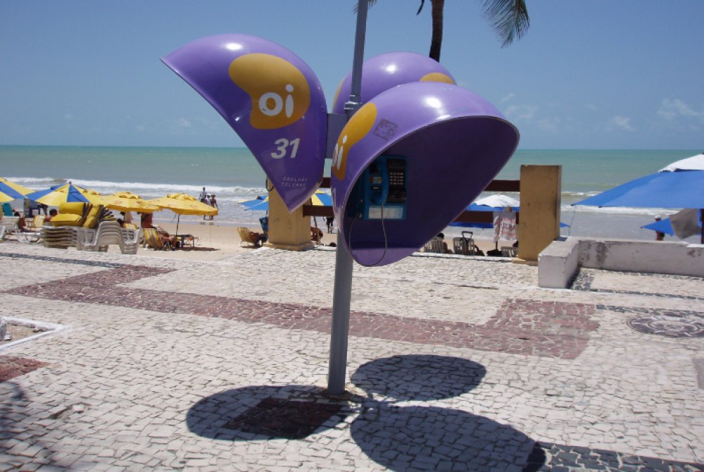 Orelh�es ser�o extintos no Brasil at� o fim de 2028.