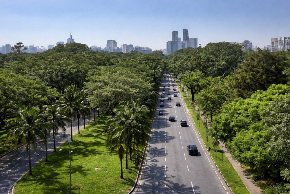 Corredor Verde criado pela Prefeitura no Butant� � reconhecido pela ONU como modelo de pol�tica urbana sustent�vel.