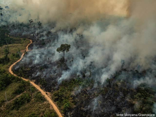 CAEM AS EMISS�ES DE GASES DO EFEITO ESTUFA CAUSADAS POR INC�NDIOS