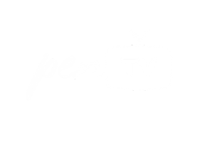 Pen TV