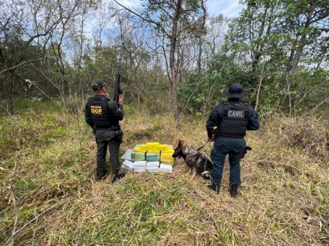 Cães farejadores encontram 162 kg de maconha e skunk nas margens da MS-040 em Brasilândia