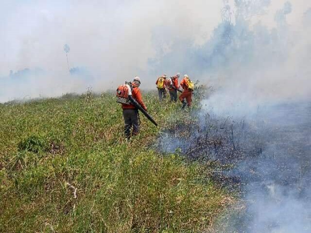 De janeiro até agora, fogo consumiu quase 8,5% da área do Pantanal