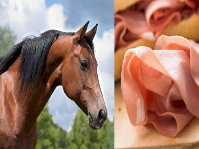 Mortadela é feita com carne de cavalo? Saiba detalhes do produto após apreensão de 27 animais em MS