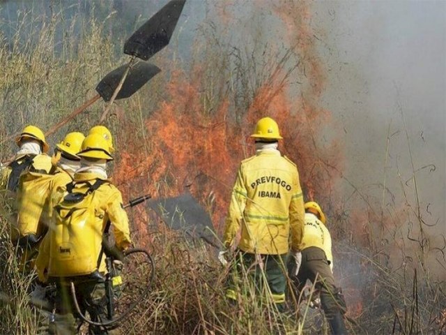 Pantanal: operao contra o fogo chega ao 100 dia sem novos focos