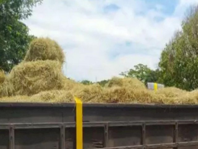 Idoso  atingido por fardo de feno de 200 kg em fazenda de gua Clara e morre