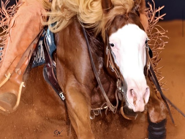 ANCR transforma a R�deas em uma das ind�strias equestres que mais crescem no Brasil
