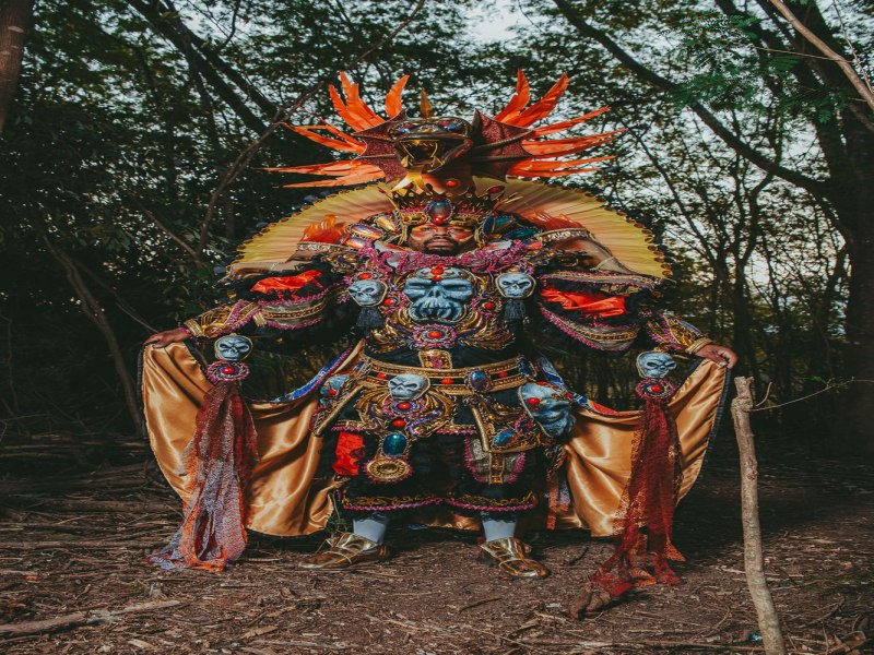 Beija-Flor homenageia em fantasia o ttulo de Lala no Salgueiro em 1974