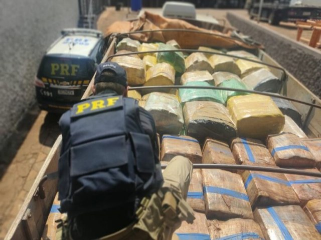 Polcia apreende caminho carregado com 12,6 toneladas de maconha na BR-060