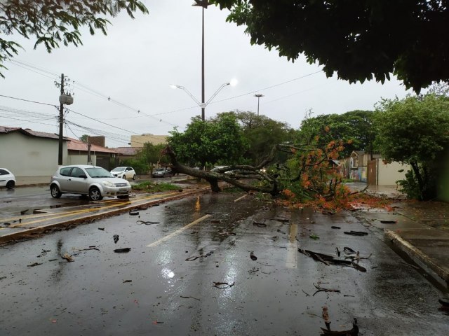 Municpio de MS fica sem energia aps vendaval e chuva de granizo