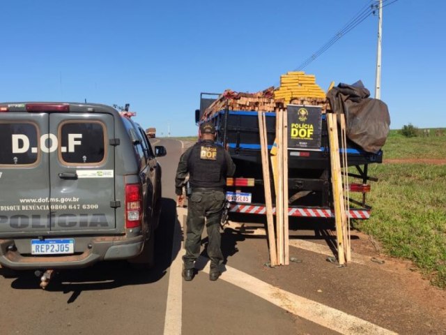 Polcia encontra quase 3 toneladas de maconha escondidas em carga de madeira