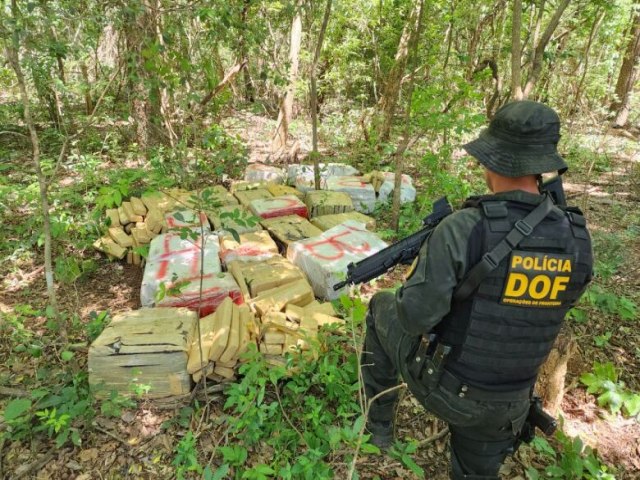 Polcia encontra mais de 600kg de maconha em meio a mata